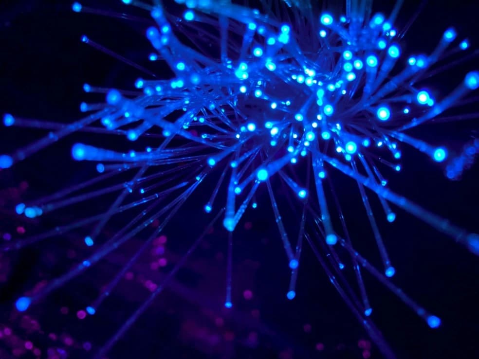 The Future of Hospital Information Systems: What Modern Hospitals Need